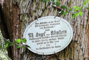 w2 klippsteinEiche 300