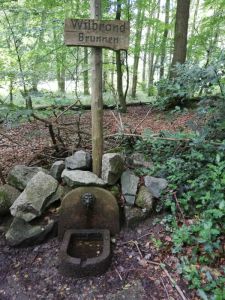 w2 willbrandbrunnen 300