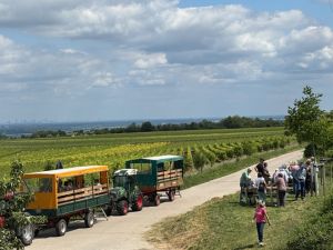 tr25 mittagspause 300