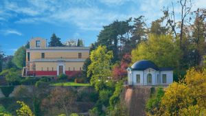 tr25 pompejanum 300c