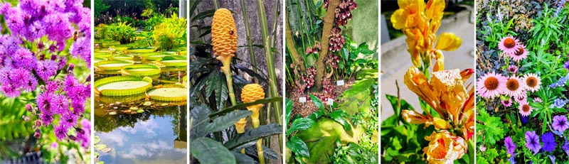 jub65 botanGarten 800a